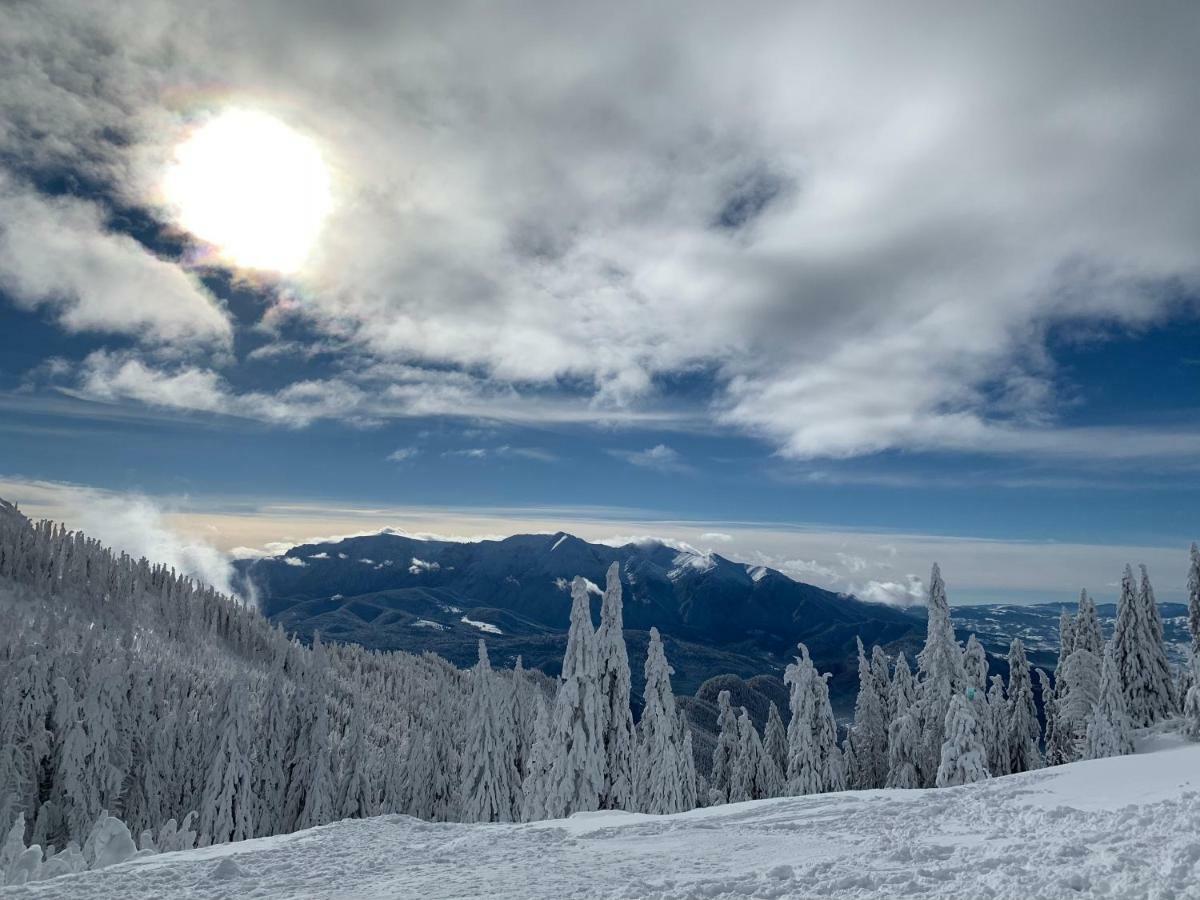 Silver Mountain Пояна-Брашов Экстерьер фото