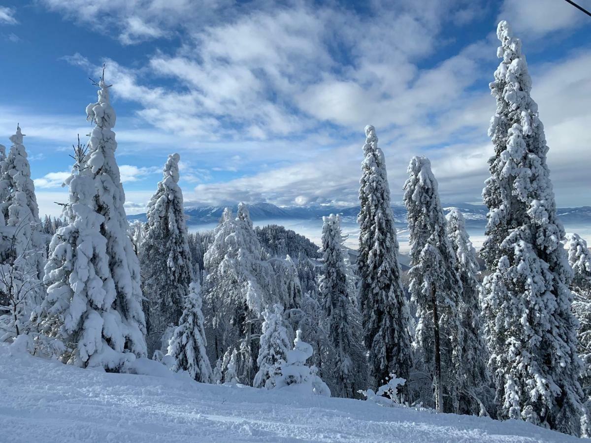 Silver Mountain Пояна-Брашов Экстерьер фото